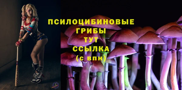 ПСИЛОЦИБИНОВЫЕ ГРИБЫ Кинешма
