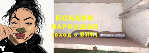 сатива Козловка