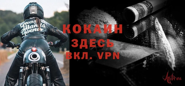 прущие грибы Коряжма