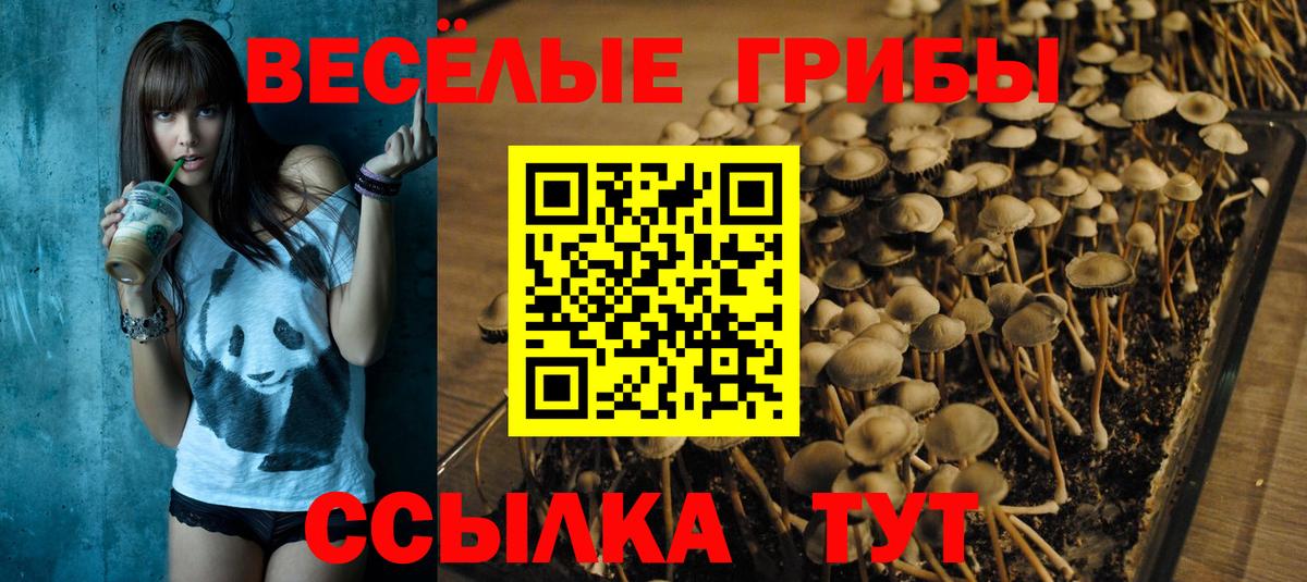 Галлюциногенные грибы прущие грибы Шали