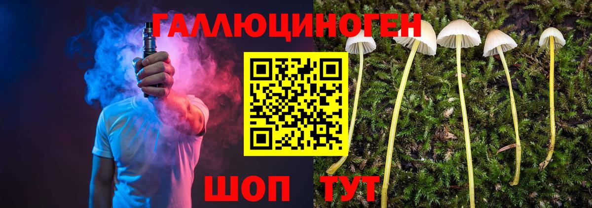 Галлюциногенные грибы Psilocybe  Вход с VPN  Шали  Галлюциногенные грибы Cubensis 